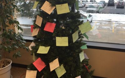 The Giving Tree: Rabine Group Employees Give Back